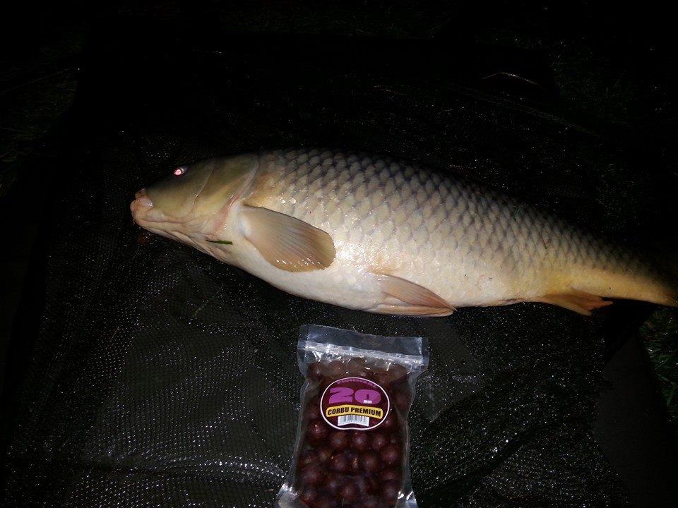 Moara Vlasiei 2 28 - 29 mar. - 195810014904899311725771420212958n.jpg